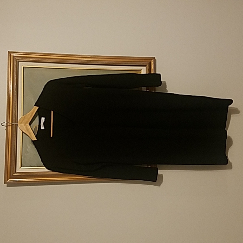 Everlane Cashmere dress, XS